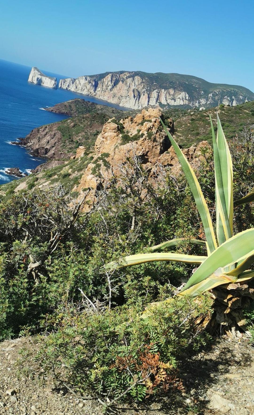 La Mariposa Villa Iglesias Eksteriør bilde